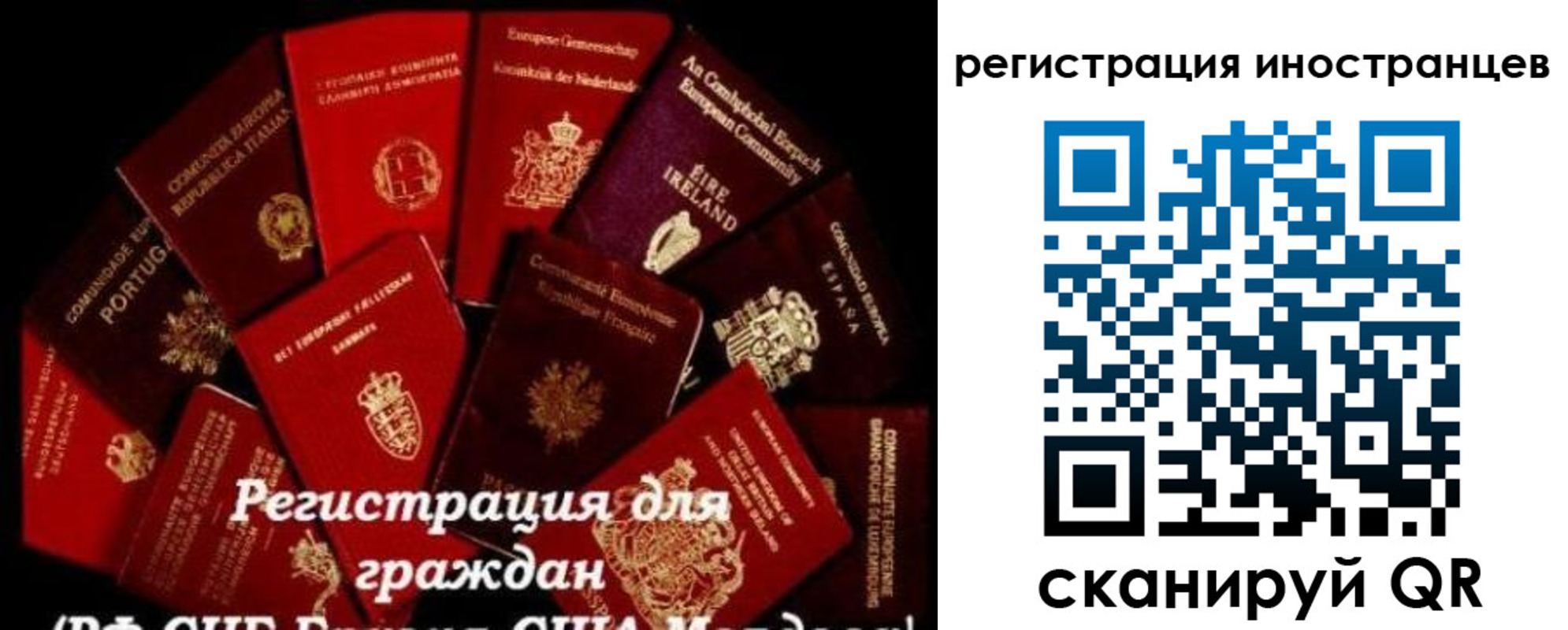 прописка иностранных граждан в Солнечногорске